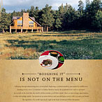 Ad Design